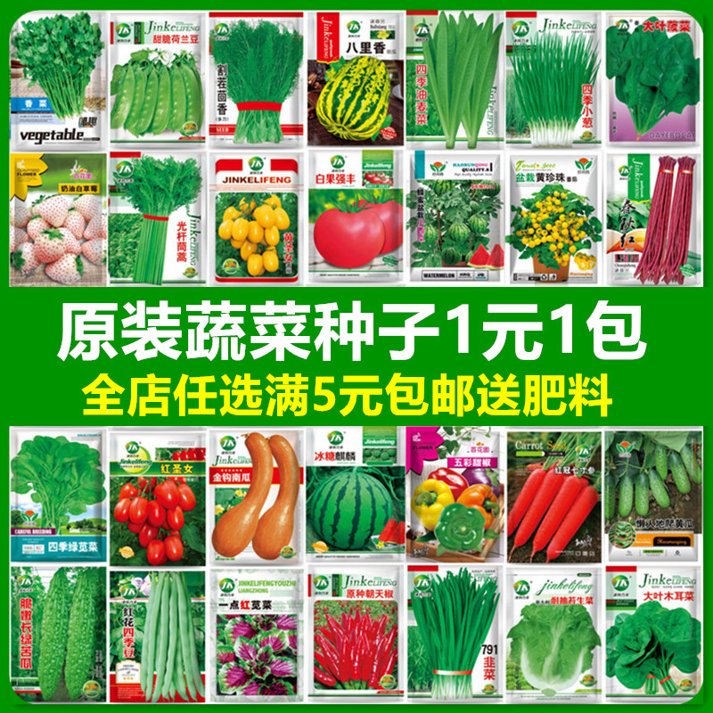 蔬菜种子香菜番茄辣椒菠菜黄瓜豆角生菜籽甜瓜南瓜四季播种孑大全