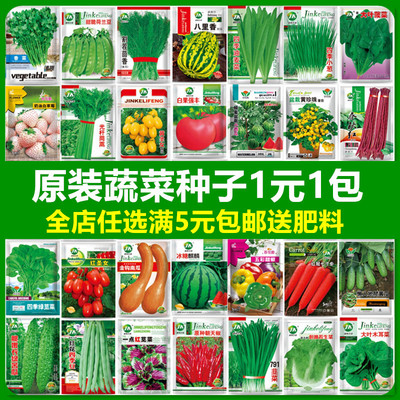 蔬菜种子香番茄辣椒菠黄瓜