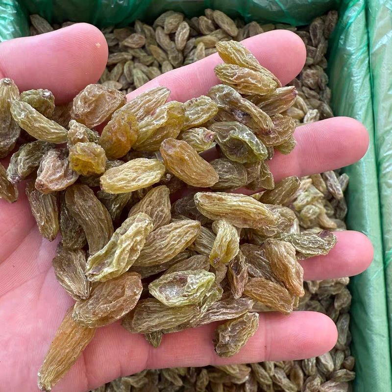 新货葡萄干新疆吐鲁番葡萄干免洗大颗粒优质葡萄干商用批发摆摊