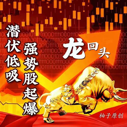 龙回头尾盘低吸战法视频教程原创课程游资心得炒股尾盘炒股养家