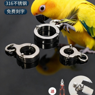 不锈钢鹦鹉脚链虎皮牡丹玄风鹩哥小太阳金刚专用站架外出放飞绳