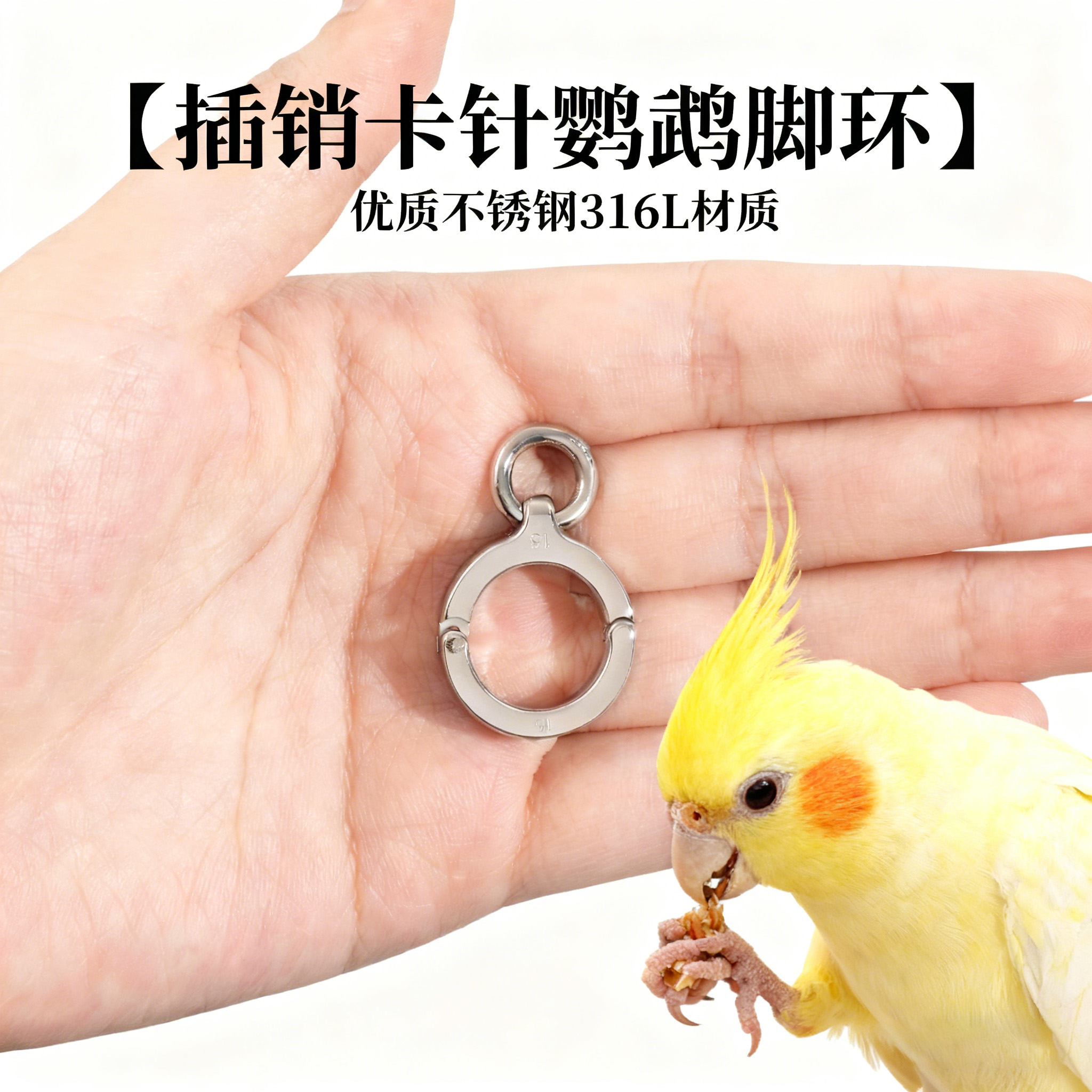 鸟类玄凤鹦鹉不锈钢八哥316L材质