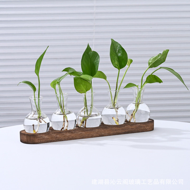 桌面水培玻璃花瓶水养植