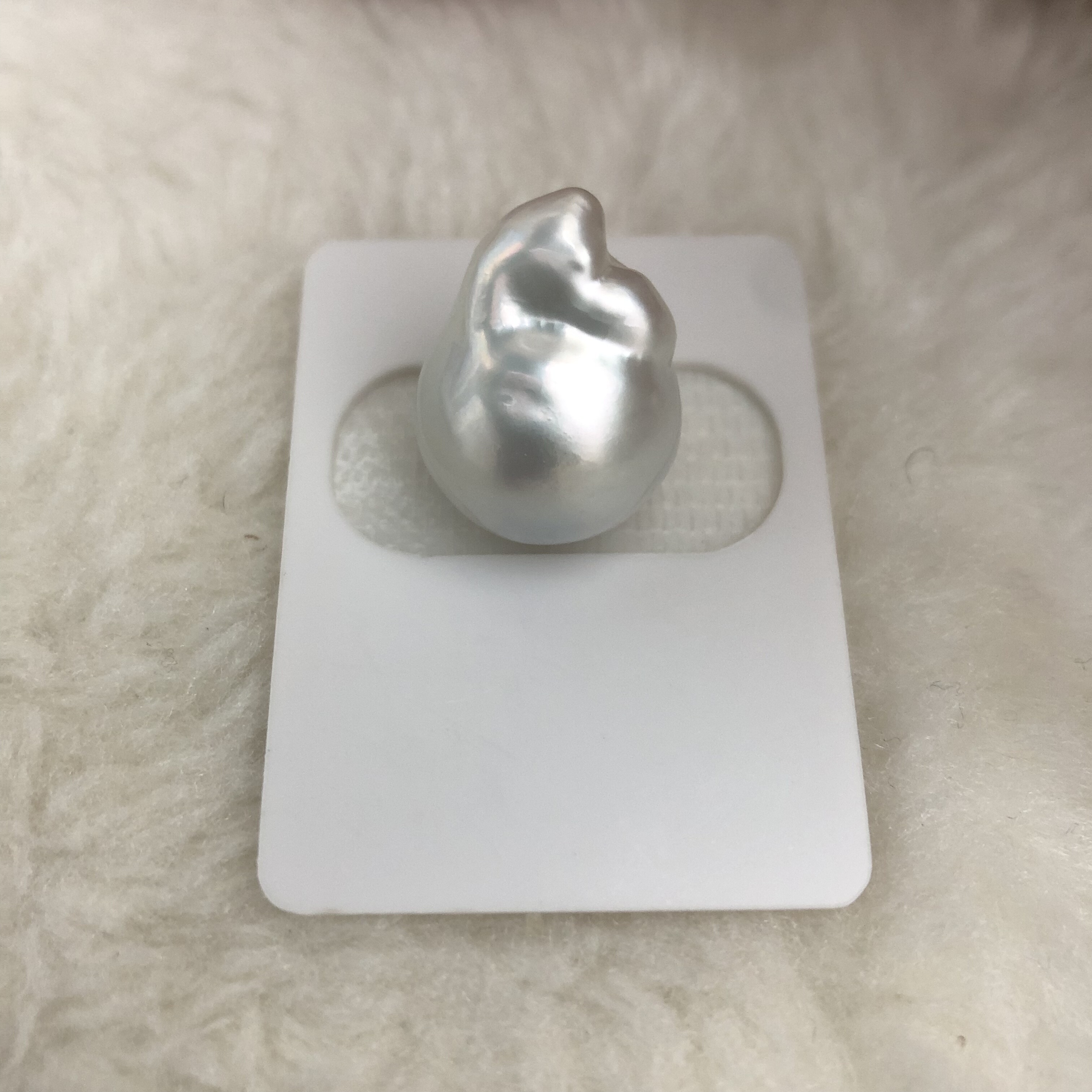 13-14海水澳白巴洛克