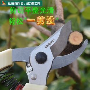 威力狮修花剪园艺剪刀不锈钢修枝剪修剪树枝摘果家用粗枝剪w131