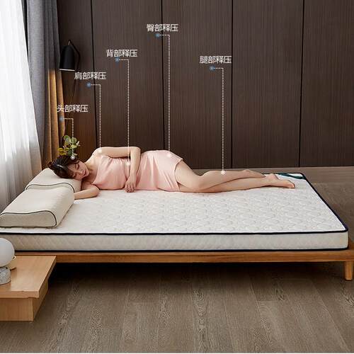 床垫乳胶软垫家用垫褥租房专用学生宿舍单人榻榻米海绵垫加厚褥子