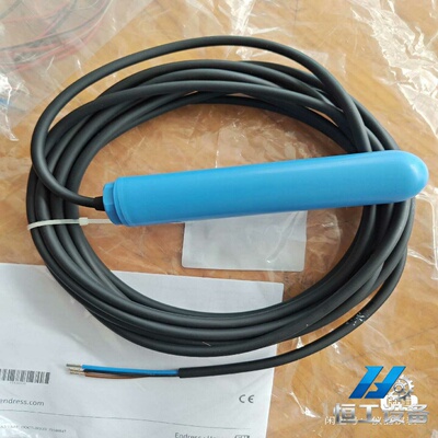 询价EH浮球液位计FTS20AC/DCPP/PVC5