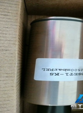 询价HOPPE压载探头Hoset1--kS0/2500mb