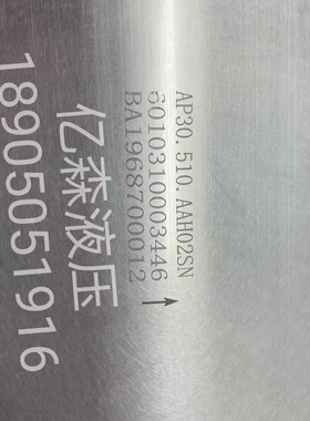 国产替代BLUE ASCEND土耳其AP30/AP20系列齿轮泵AP30.510.AAH02SN