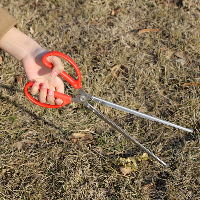 蜈蚣夹子抓蜈蚣神器镊子工具野外逮捡捉蜈蚣的夹子钳子