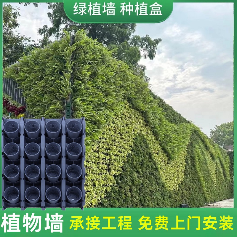 真植物墙种植盒户外立体垂直绿化