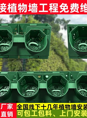 户外垂直真植物墙绿植墙种植盒立体绿化壁挂自动化灌溉绿化植物墙