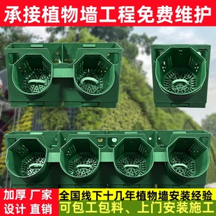 户外垂直真植物墙绿植墙种植盒立体绿化壁挂自动化灌溉绿化植物墙