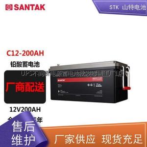 山特电池C12-100 12V100AH城堡蓄电池UPS电源专用 C12-65 65AH C1