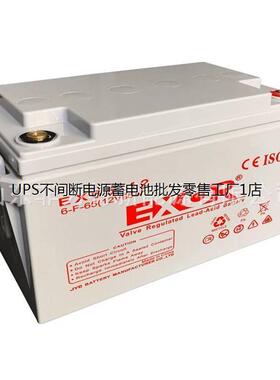 EXOR埃索蓄电池 EX65-12 12V65AH 精密仪器应急铅酸免维护备用电