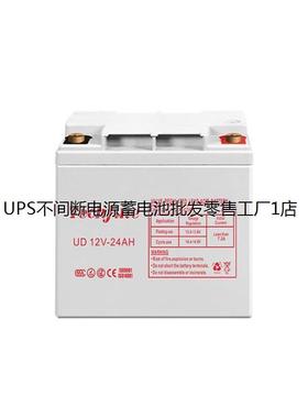 Techfine泰琪丰蓄电池UD12V-65AH 环保储能UPS/EPS直流屏配套电源