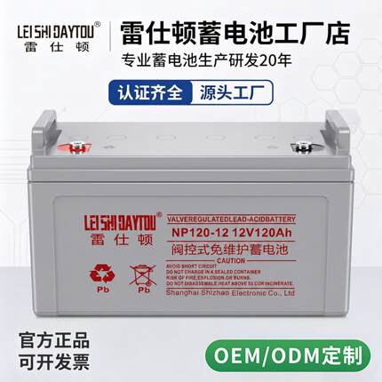 雷仕顿12V7AH-200AH阀控式密封铅酸蓄电池UPS不间断电源用免维护