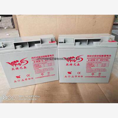 厂家工厂英特尼森蓄电池1