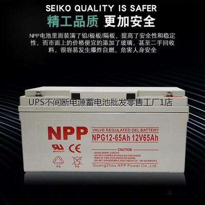 UPS电池12V65AHNPG-耐普