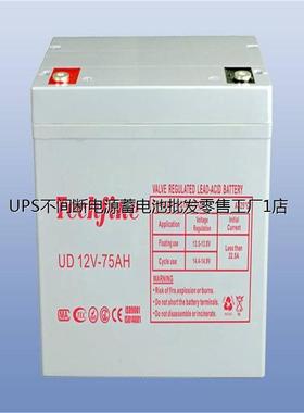 Techfine泰琪丰蓄电池UD12V-75AH 储能工匠电瓶 钥匙柜UPS应急电