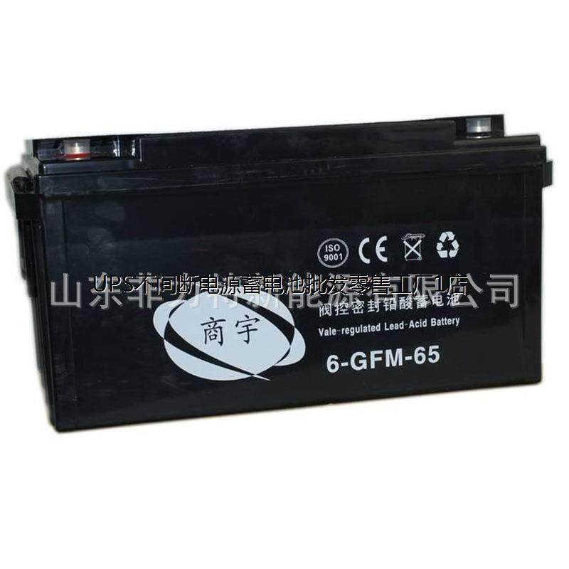 商宇蓄电池GW1265不间断电源配套12V65AH UPS/EPS应急后备电源图片