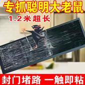 超强力粘鼠板大老鼠贴捕鼠老鼠神器克星透明隐形大号家用灭黏粘鼠
