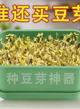 四季吃新鲜豆芽全自动豆芽发芽神器食品级大号水培育苗托盘专用盆
