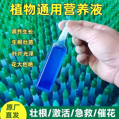 植物再生剂复活液花卉绿植盆栽通用光杆发黄发财树多肉生长营养液