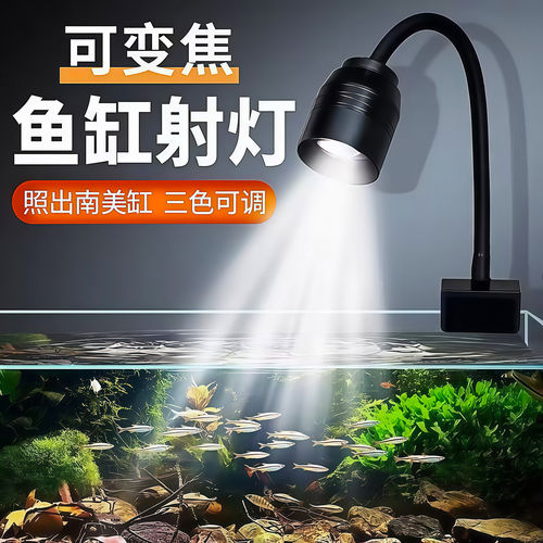水族箱照明灯led水草灯筒灯乌龟灯南美射灯变色鱼缸灯变焦原生缸