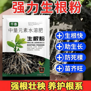 生根粉苗长生物移植定栽植物生根
