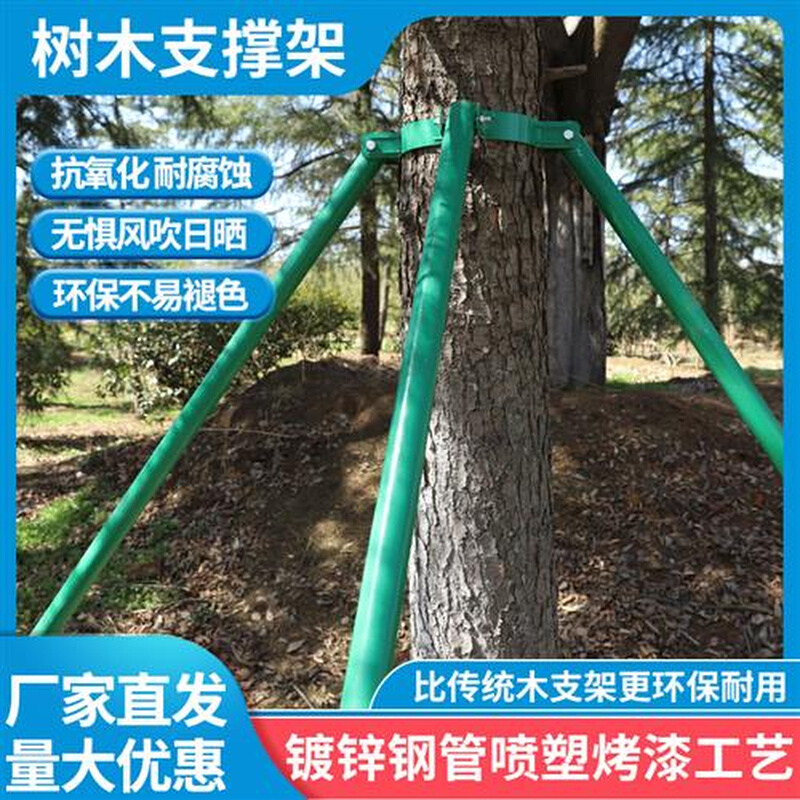 绿色大树支伸缩杆园林金属树支撑乔木防风抱箍钢管固定器树木支撑