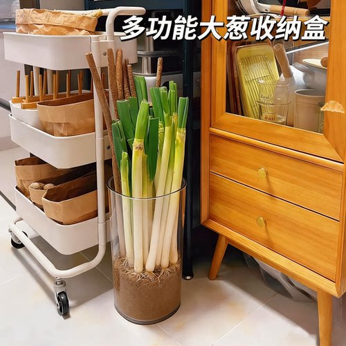 多功能大葱收纳盒铁棍山药透明收纳桶厨房姜蒜食材大容量整理筒