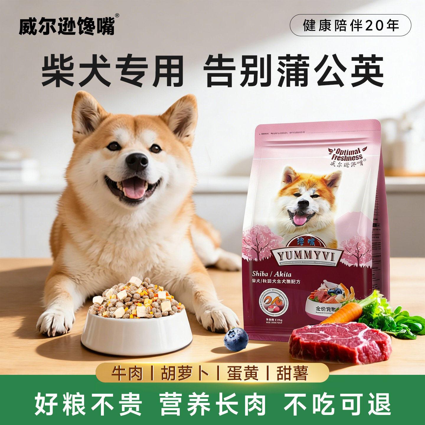 威尔逊馋嘴日本柴犬中华