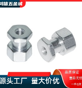 FJR5-0.8 FJG8-1.25 FJRSS6-1.0 不锈钢浮动接头内螺纹气缸连接件