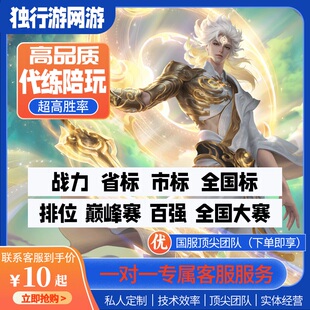 【5分钟上号】高品质线下实体店王者荣耀代练陪练小国标巅峰赛