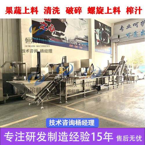 蓝莓桑葚蔓越莓物理压榨果汁压榨机果蔬清洗榨汁生产线