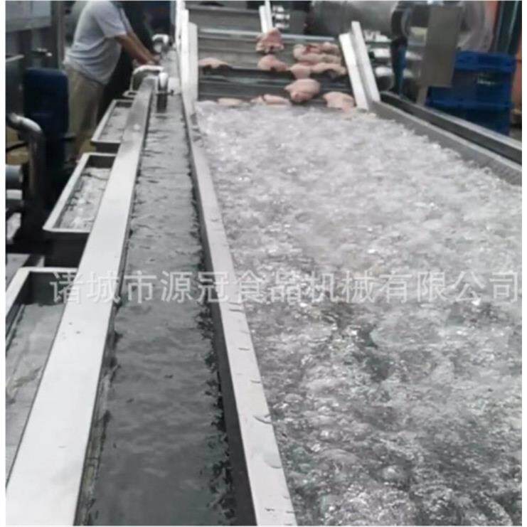 定制鱼虾网带式常温水解冻机 厂家供应猪牛羊肉类冻品快速化冻机
