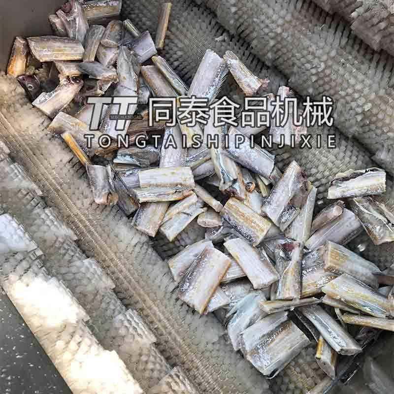 小型不锈钢带鱼去鳞机清洗机 刀鱼切段清洗去鳞机器 毛刷辊洗鱼机