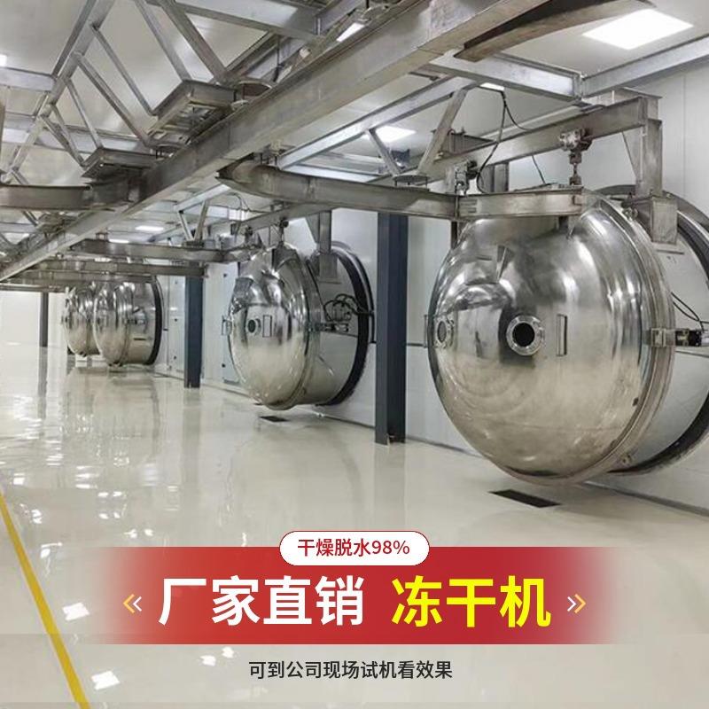 全自动蔬菜西芹真空冻干机 大型猕猴桃柠檬金桔芒果片商用冻干设