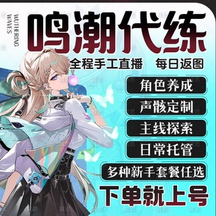 鸣潮代肝带代练代打代跑3.0肝地图探索度主线任务声骸托管数据坞