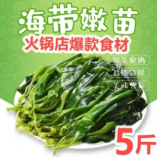 海带苗5斤新鲜盐渍海带芽霞浦嫩厚特产级非干货麻辣烫火锅食材