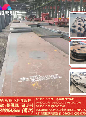 Q460NE高强板Q420ND钢板Q390高韧性零割下料保性能探伤带Z向性能