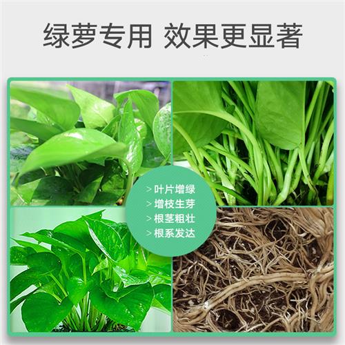 绿萝专用营养液花肥料盆栽通用浓缩肥室内植物养花种花绿箩液体肥