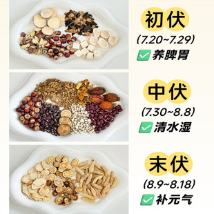 三伏天养生茶有湿人关爱脾胃食养代用茶组合气血不好三伏茶泡水喝