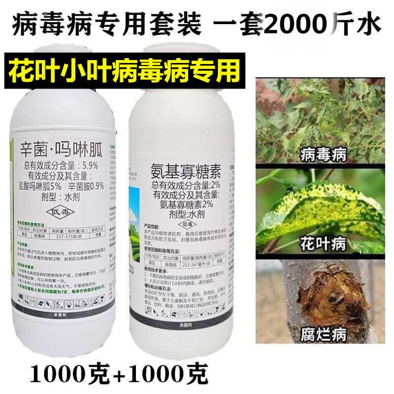 辛菌胺醋酸盐吗啉胍氨基