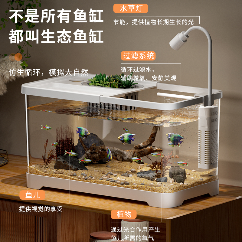 鱼缸高清水族箱小型造景生态缸