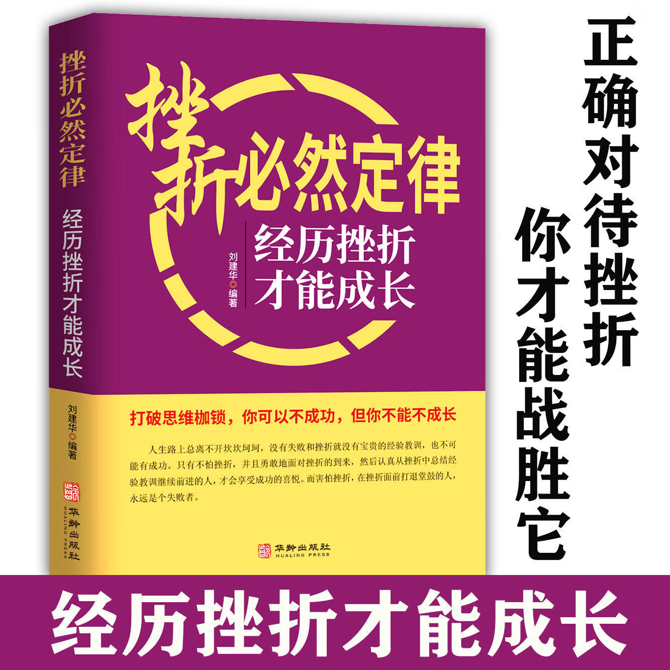 正版书籍 挫折必然定律经历挫折才能成长你可以不成功但不能不成长打破思维枷锁在挫折面前打退堂鼓的人永远 正版书籍挫折必然定律 - 实物图