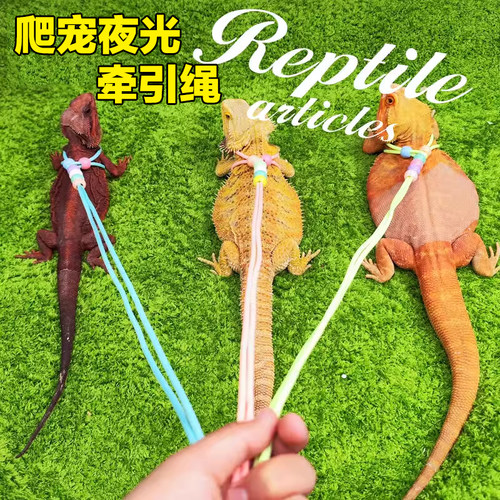 爬宠鬃狮蜥蜴牵引绳安全溜宠防挣脱宠物牵引绳套头套爬宠吊床