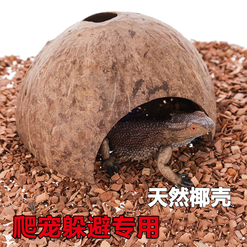 天然椰壳躲避守宫蜥蜴蜘蛛蛇蝎子仓鼠蜈蚣躲避洞爬虫箱椰子壳洞穴