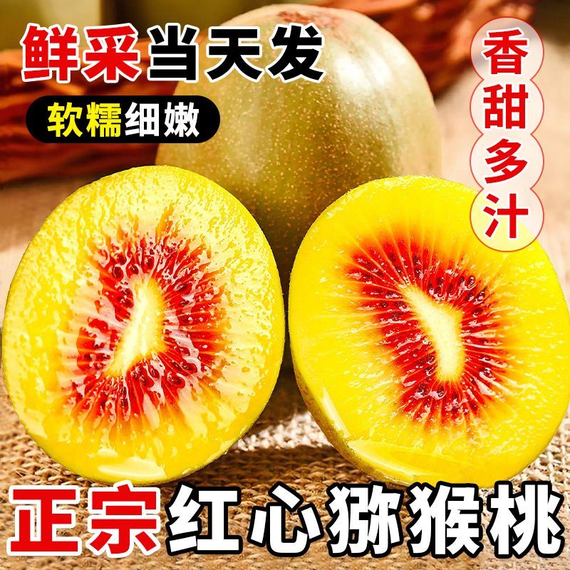 正宗四川蒲江红心猕猴桃新鲜现摘